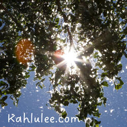 Springtime Snowflake