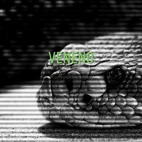 Veneno