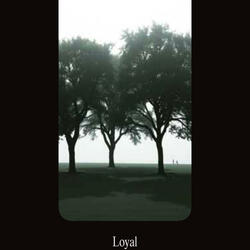 Loyal