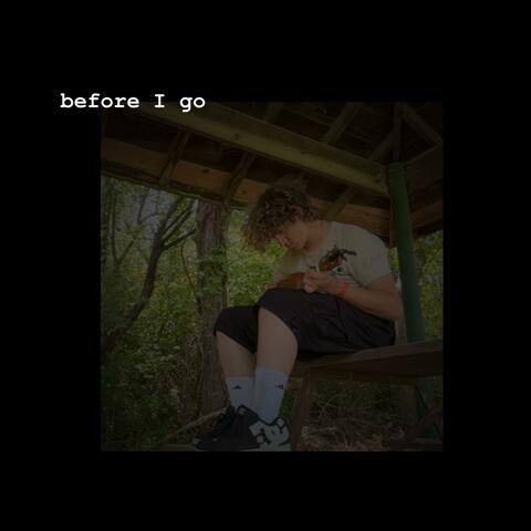 before i go
