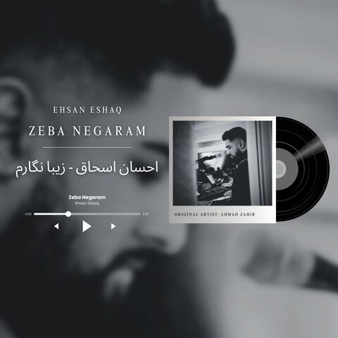 Zeba Negaram