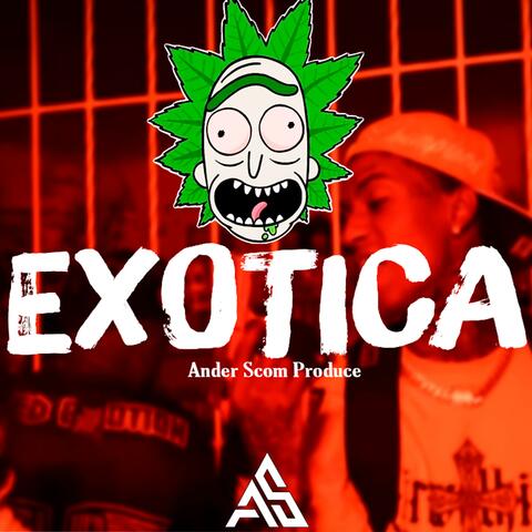 Exotico