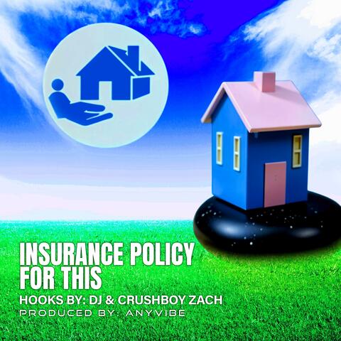 Insurance Policy For This