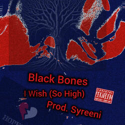 I Wish (So High)