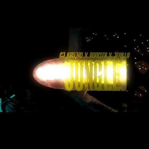 Jungle (feat. Lilcjkacino & Jtrilla)