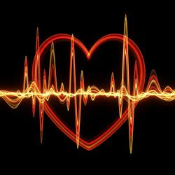 มาเต้นกันเถอะ Let's dance