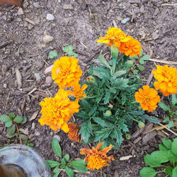 without rhyme or reason,