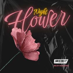 Night Flower