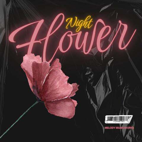 Night Flower