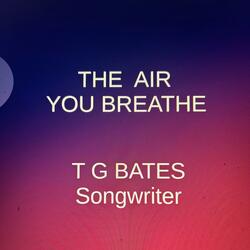 The Air You Breathe (feat. Tomy Hamil)