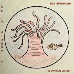 sea anemone (clownfish version)
