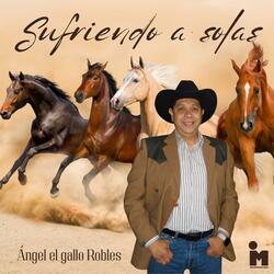 Angel El Gallo Robles (Sufriendo a solas (S22 Sesiones)