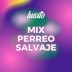 Mix Perreo Salvaje (2025)