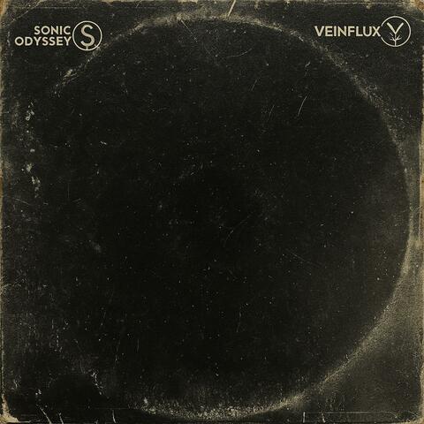 TDWJ (Veinflux Remix)