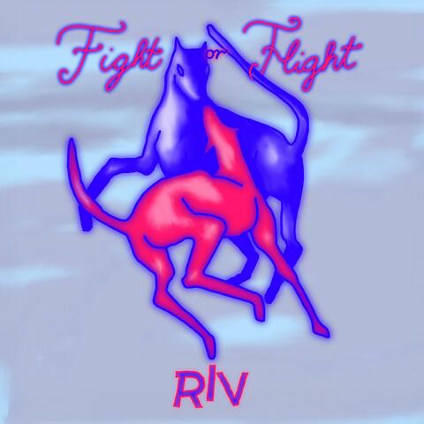 Fight Or Flight
