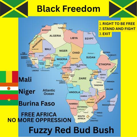 Black Freedom, Vol. 2