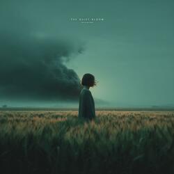 The Quiet Bloom