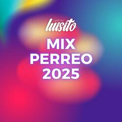 Mix Perreo Salvaje (2025)