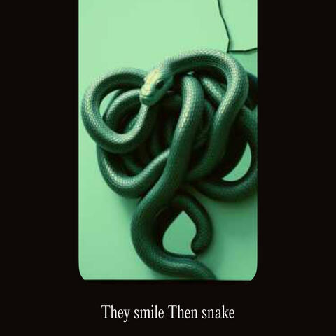 They Smile Then Snake