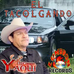 EL TACOLGANDO