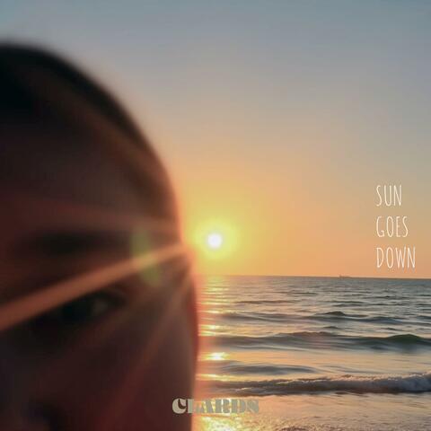 Sun Goes Down