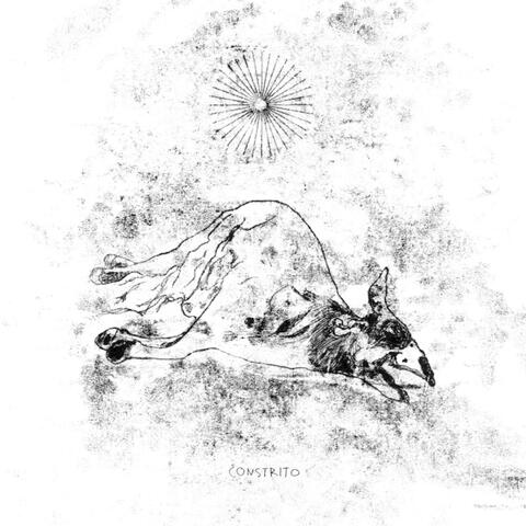 12" EP