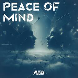 Peace of Mind (Extended Mix)