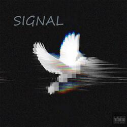 Signal