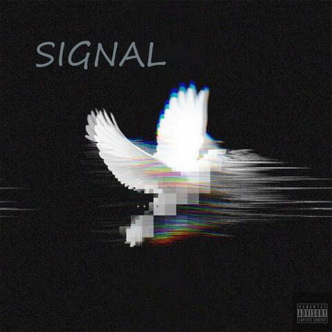 Signal