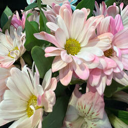 The Things We'll Never Do