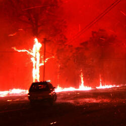 rest my eyes tonight