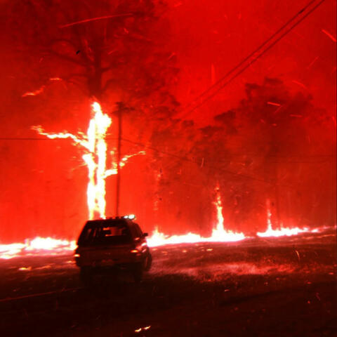 rest my eyes tonight