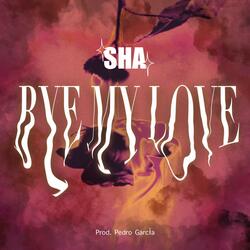 Bye My Love