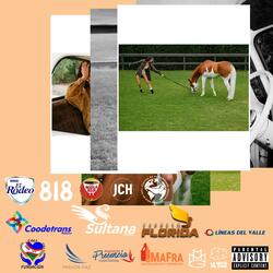 NO TE DEFRAUDARÉ (MASTER)