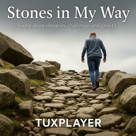 Stones in My Way