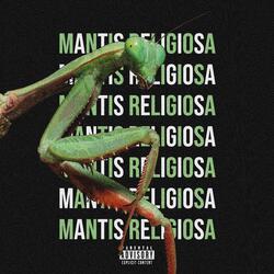 Mantis Religiosa
