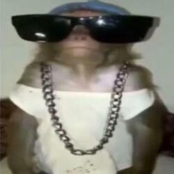 Wok talk (Special Version)