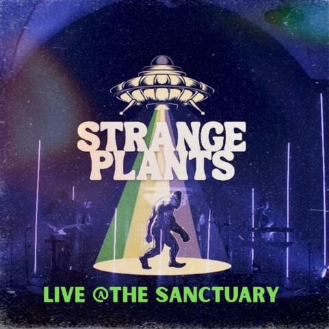 Hot Tonight (Live at The Sanctuary) (Live)