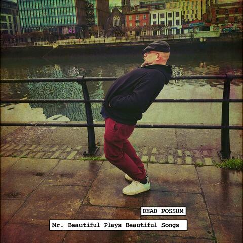 Mr Beautiful Plays Beautiful Songs