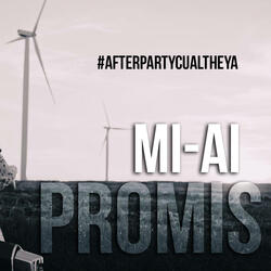 Mi-ai promis