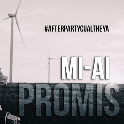 Mi-ai promis