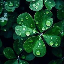 EXTREME LUCK SUBLIMINAL (manifest wishes, victory, wealth, desired everything)