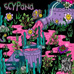 Scypana