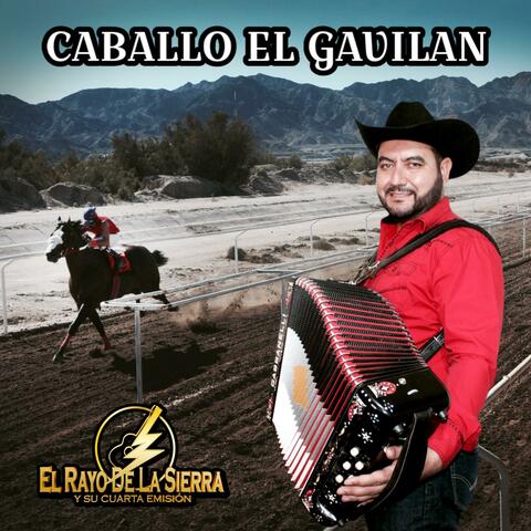 Caballo El Gavilan