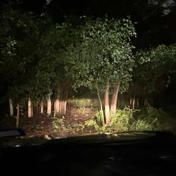 Hollup freestyle (WAR/LXCK)