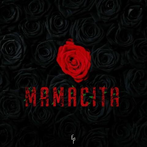 Mamacita