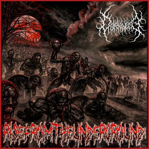 Rise from the Underground