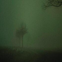 fantasmas en el techo