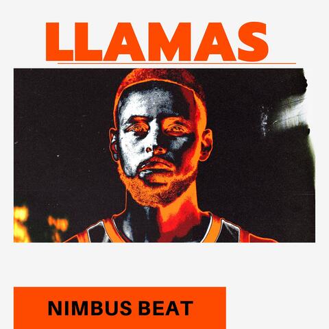 LLAMAS