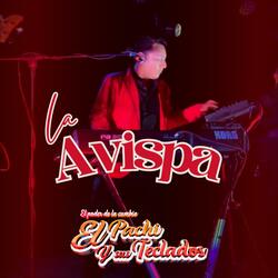 LA AVISPA